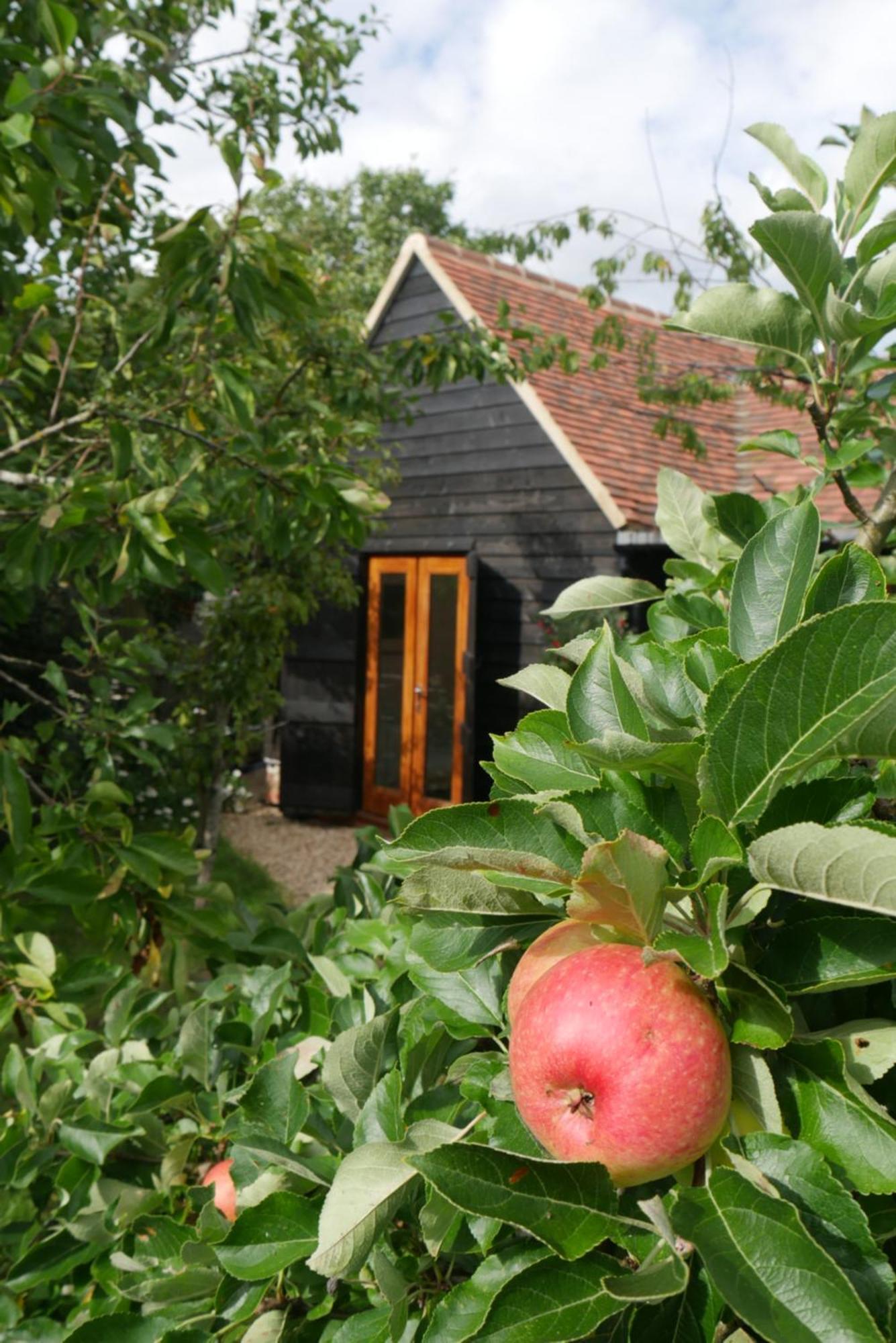 Willa The Little Orchard Watlington  Zewnętrze zdjęcie